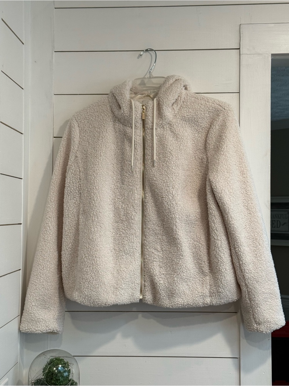 Joie Cream & Gold Lined Teddy Coat 🧸